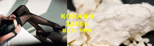 PSILOCYBIN Магас