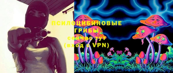 PSILOCYBIN Магас