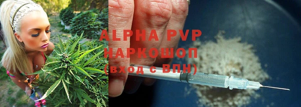 PSILOCYBIN Магас