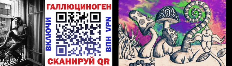 где можно купить   Минусинск  Псилоцибиновые грибы мухоморы 