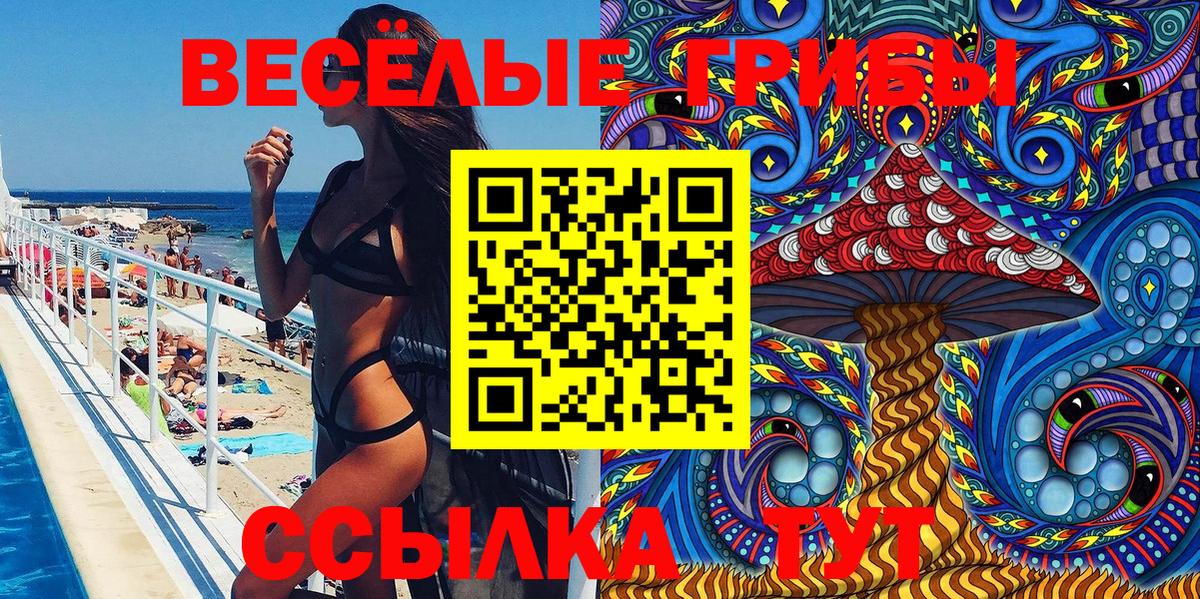 Псилоцибиновые грибы мицелий Минусинск